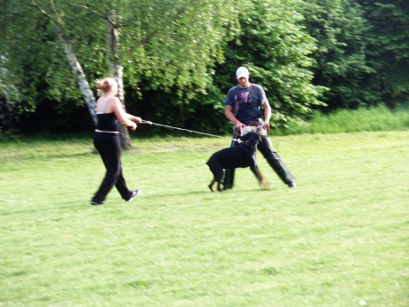 obrany david 008.jpg